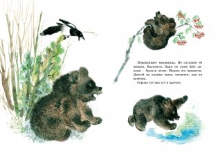 Друзья. Рассказы фото книги 7