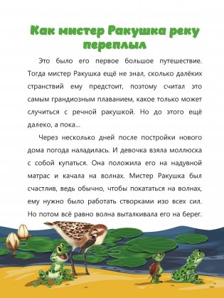 Мистер Ракушка фото книги 6