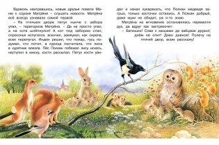 Необыкновенная Сова Маня фото книги 3