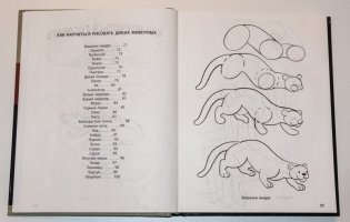 Рисование. Первые шаги фото книги 8