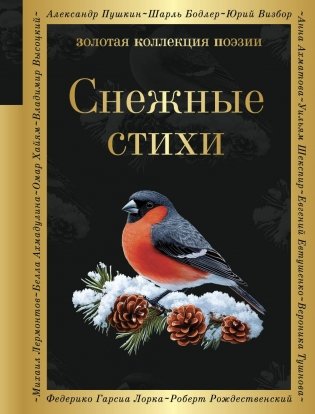 Снежные стихи фото книги