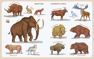Каменный век. Детская энциклопедия фото книги 4