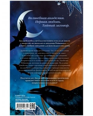 Академия Рейвенхолл. Тайная магия фото книги 8
