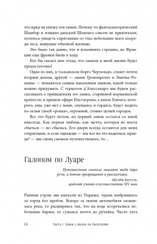 Волшебное лето во Франции. Замки, фиалки и вишневый пирог фото книги 15