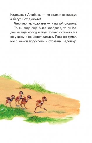 Рассказы о природе (ил. С. Ярового) фото книги 13
