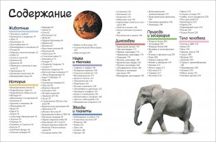 Большой подарок школьнику фото книги 3