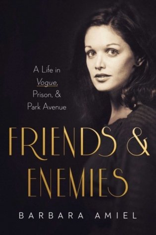 Friends and Enemies: A Life in Vogue, Prison, & Park Avenue фото книги