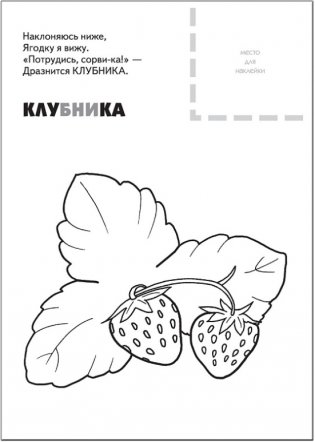 Раскраска с наклейками. Ягоды фото книги 4