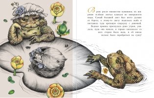 Дюймовочка фото книги 3