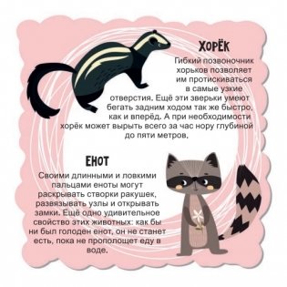 Мир животных для малышей в карточках фото книги 6