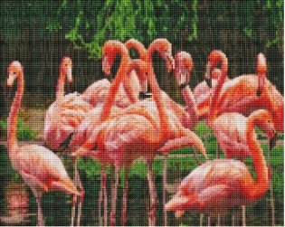 Алмазная мозаика, классическая "Фламинго в озере", 40х50 см (с подрамником, с полным заполнением) фото книги