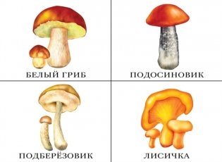 Что в моей корзинке (овощи, фрукты, ягоды, грибы) фото книги 3