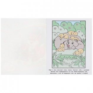 Чудесный день в лесу. Водная раскраска фото книги 2