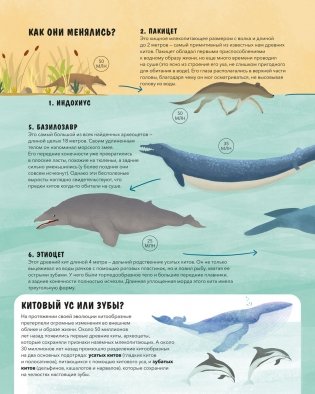 Эволюция. Как изменилась жизнь за миллиарды лет фото книги 6