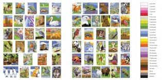Colour by Numbers: Animal Kingdom фото книги 2