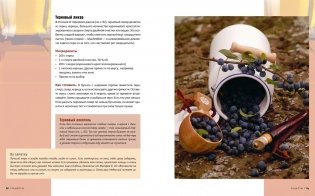 Домашний алкоголь. Способы приготовления, оборудование, рецепты фото книги 9