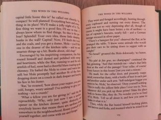 The Wind in the Willows фото книги 3