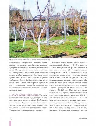 Дачные секреты от Ольги Платоновой фото книги 11