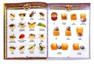 Говорящий англо-русский и русско-английский словарь с картинками (книга для говорящей ручки) фото книги 9