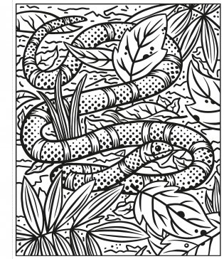 Rainforest Magic Painting Book фото книги 4