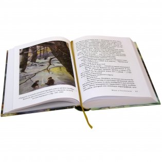 Вверх по Причуди и обратно. Удивительные приключения трех гномов фото книги 6