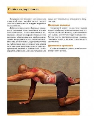 Мышечная механика фото книги 9