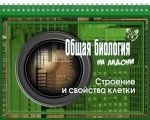 Общая биология. Строение и свойства клетки фото книги