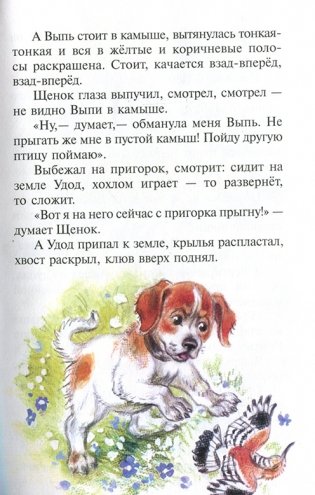 Рассказы о животных фото книги 3