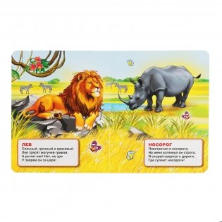 Зоопарк фото книги 2