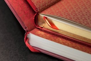 Приключения барона Мюнхгаузена фото книги 3