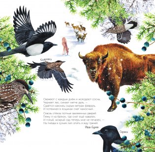 Календарь живой природы с голосами животных 2026 год фото книги 3