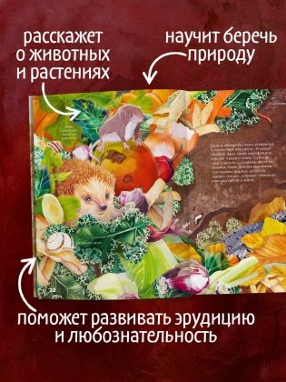 Секреты осеннего леса. Визуальная энциклопедия фото книги 2