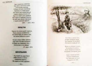 Стихи фото книги 3