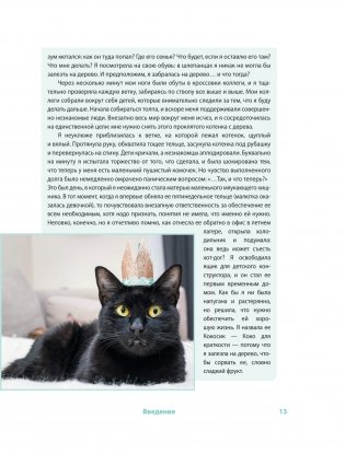 Крошки на ладошке. Трогательное руководство по спасению и заботе о котятах для самых неравнодушных фото книги 8