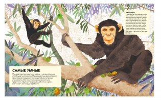 Удивительные животные. Самые-самые фото книги 3