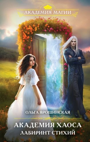 Академия хаоса. Лабиринт стихий фото книги
