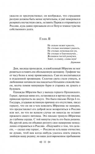 Дубровский фото книги 12