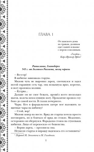 Золотые земли. Сокол и Ворон фото книги 12