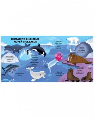 Океаны и моря. Энциклопедия с окошками фото книги 4