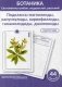 Ботаника. Систематика грибов, водорослей, растений. Блок 2: Подклассы магнолииды, ранункулиды, кариофиллиды, гамамелидиды, дилленииды. 44 гербарных карточек фото книги маленькое 2