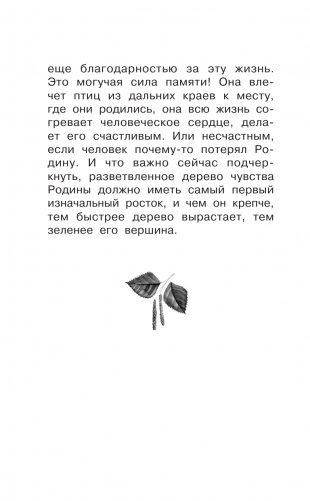 Родине. Рассказы фото книги 11