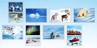 Мир в картинках. Арктика и антарктика. ФГОС фото книги 2