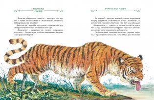 Сказки фото книги 5