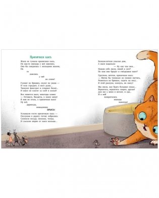 Едет крыша - еду я! фото книги 4