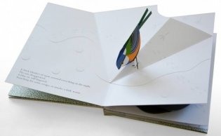 Орешек фото книги 5