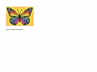 Животные. Арт-раскраска по номерам фото книги 6