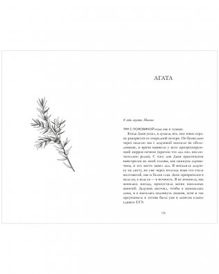 Сердце зимы (подарочное) фото книги 4