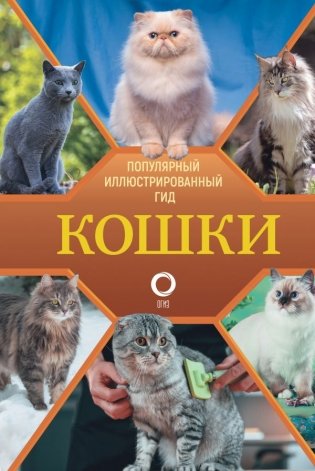 Кошки фото книги