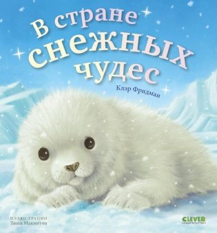 В стране снежных чудес фото книги