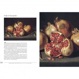 Фрукты (в футляре) фото книги 5